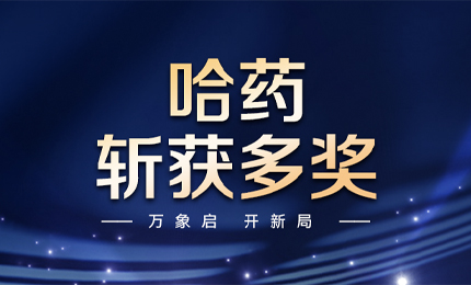 【喜讯】万象启，开新局，利博官网斩获多枚奖项