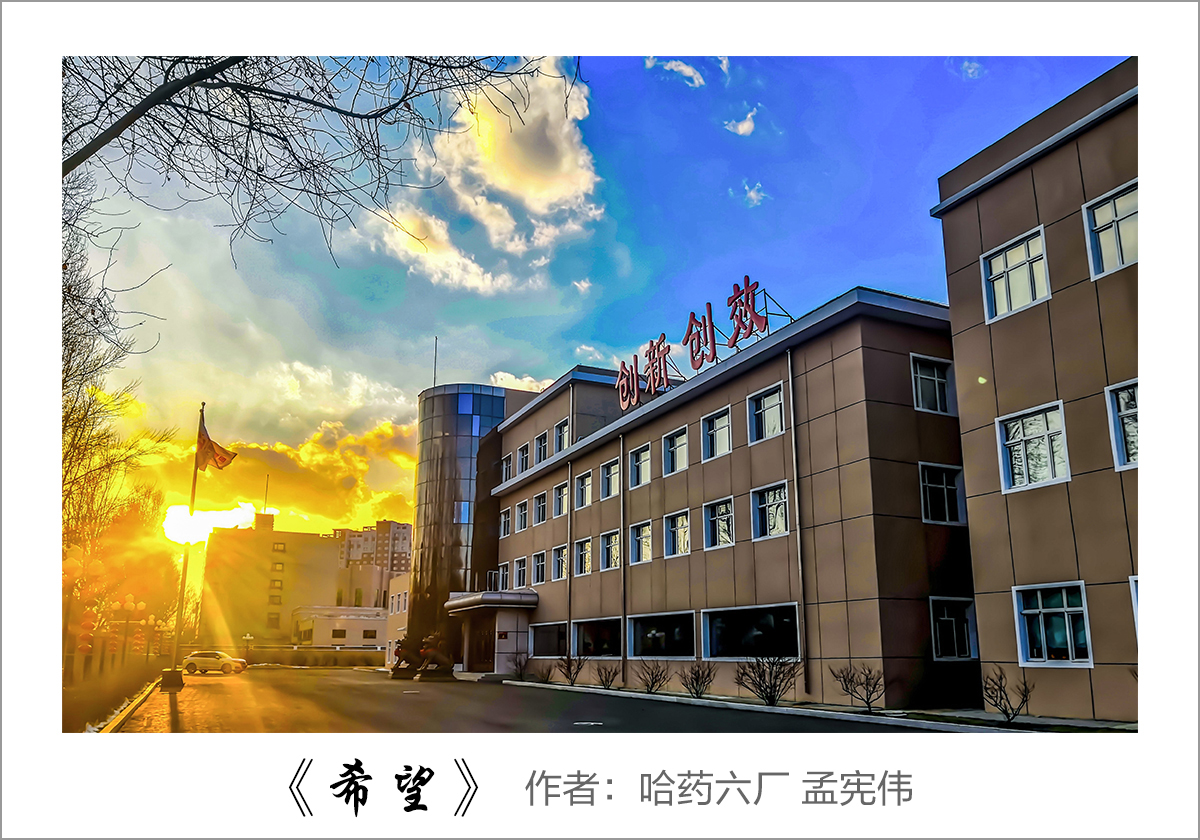 【迎国庆 展风采】我眼中的利博官网——职工摄影大赛作品展示！